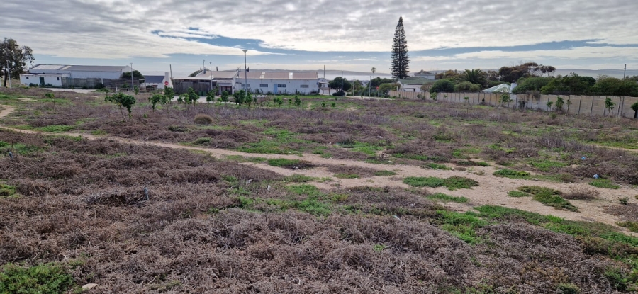 0 Bedroom Property for Sale in Middedorp Western Cape